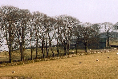 The scene in March 2003
