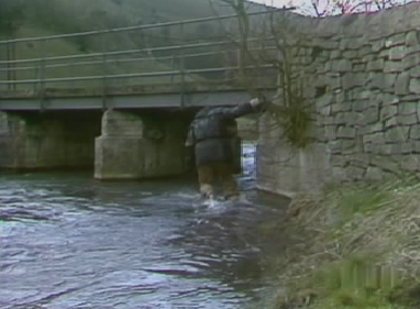 Charles wades out into the water in the hopeof evading the approaching dogs