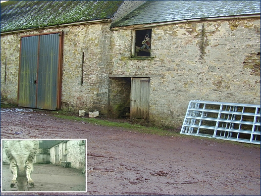 The yard of Cawston Farm from the series three episode 'The Last Laugh'