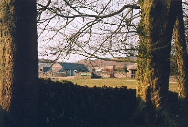 The scene in March 2003