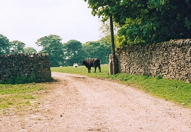 The scene in May 2003